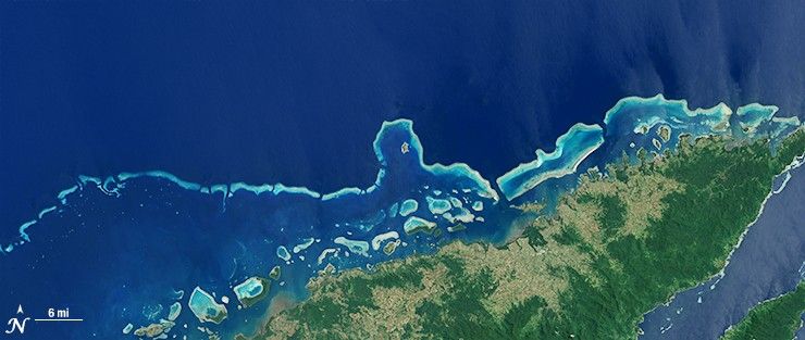 coral reefs on the northern shore of Vanua Levu, Fiji