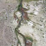 Riparian vegetation in Soldier Meadows