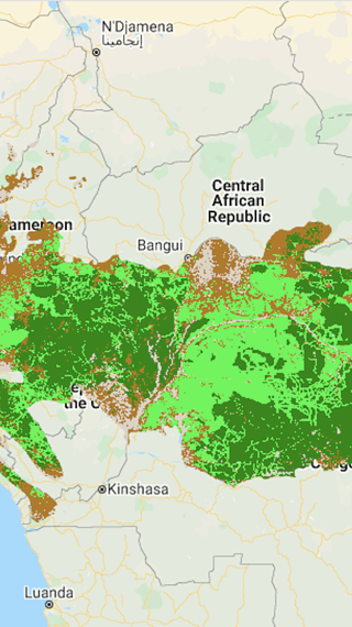 Forest quality map detail - Africa