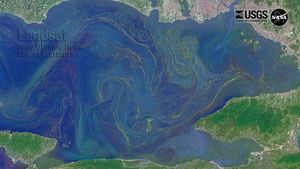 A natural-color Landsat satellite image of blooms in the Sea of Marmara.