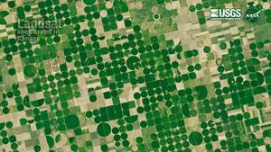 A Landsat satellite image of Center-pivot irrigation in Kansas.