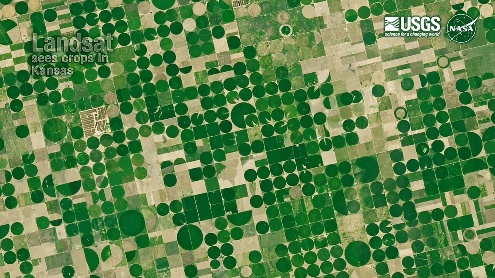 A Landsat satellite image of Center-pivot irrigation in Kansas.