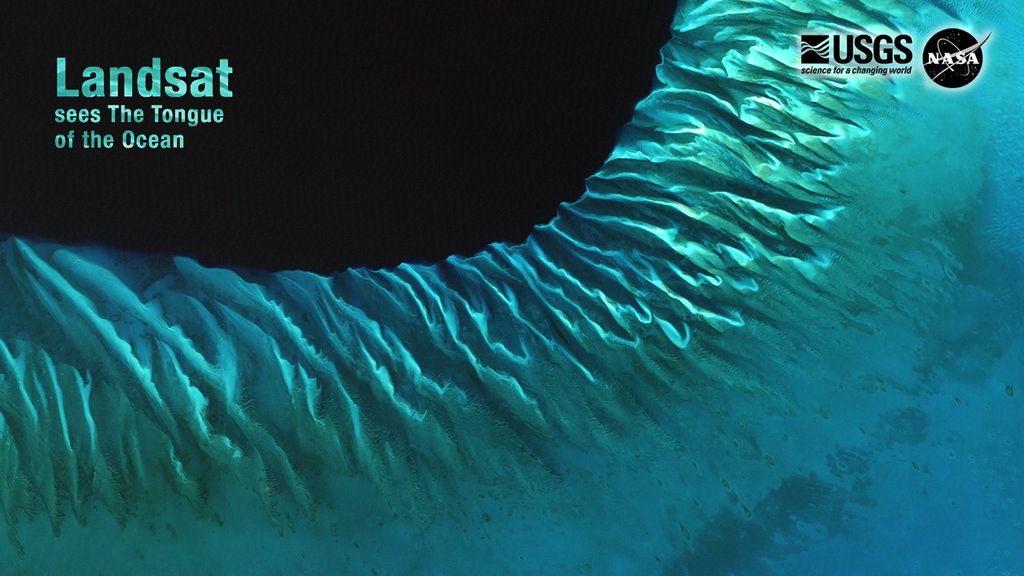 A natural-color Landsat satellite image of Bahamas.