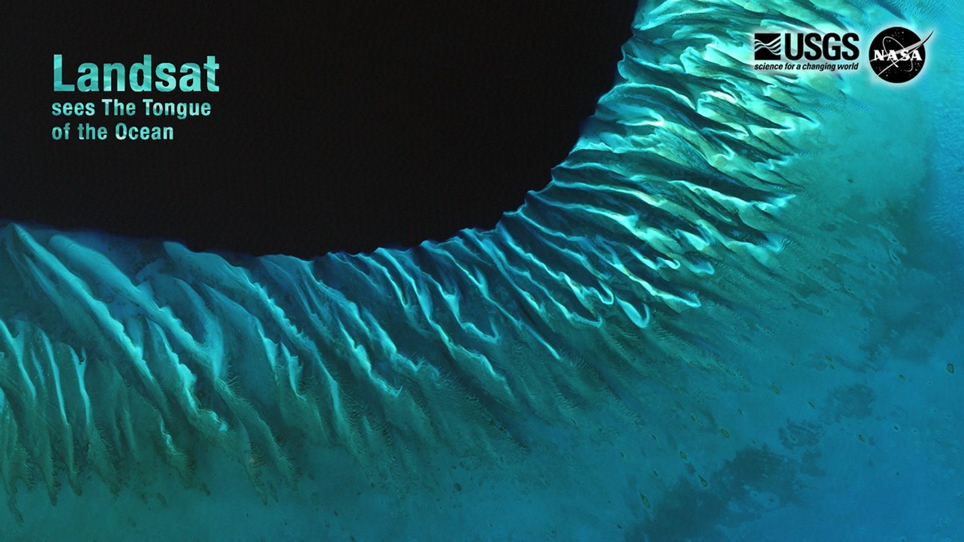 A natural-color Landsat satellite image of Bahamas.
