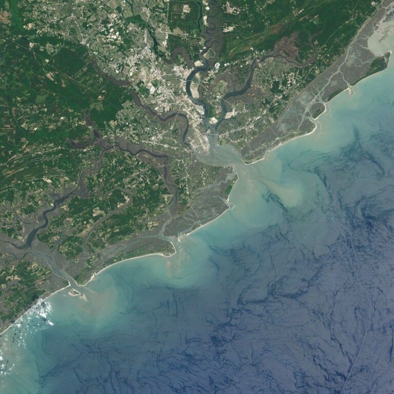 Beachwalker Park 2018