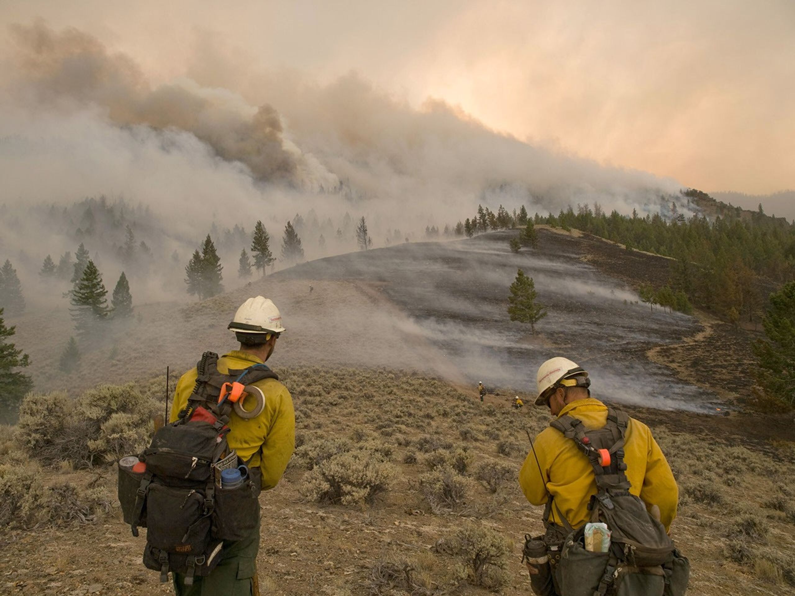 Firefighters work on the Lodgepole Fire. The Lodgepole Fire in the Salmon-Challis National Forest near Challis, ID began on Jul. 20, 2013 by lightning has consumed approximately 13,700 acres and is approximately 15% contained. U.S. Forest Service photo.