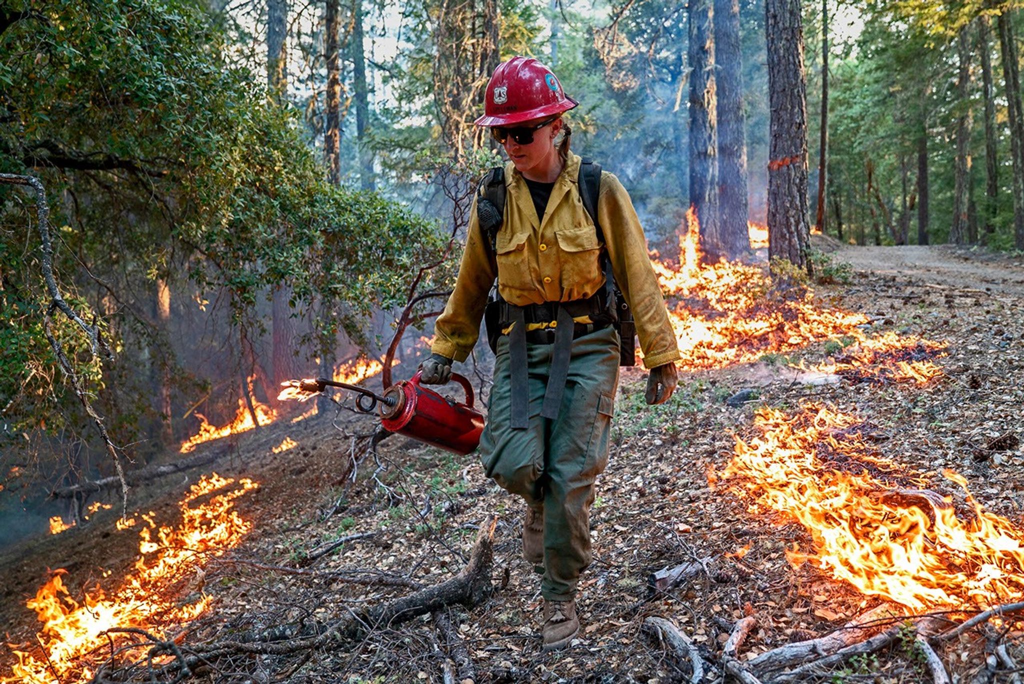 Laura Spellman, Redding, California, Hot Shot firefighter, uses a drip torch to burn lower vegetation to contain the oncoming fire