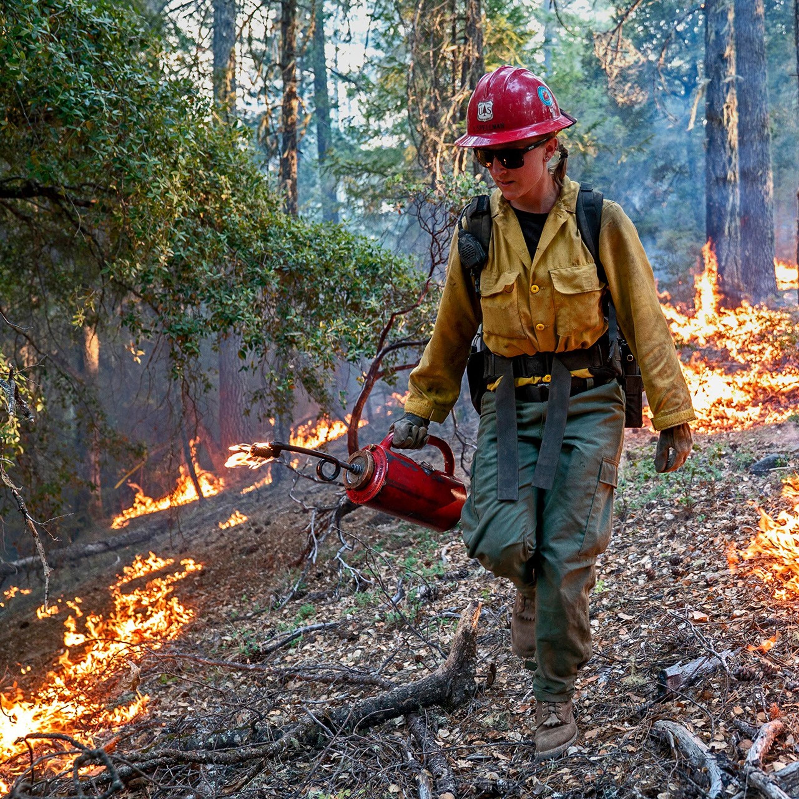 Laura Spellman, Redding, California, Hot Shot firefighter, uses a drip torch to burn lower vegetation to contain the oncoming fire
