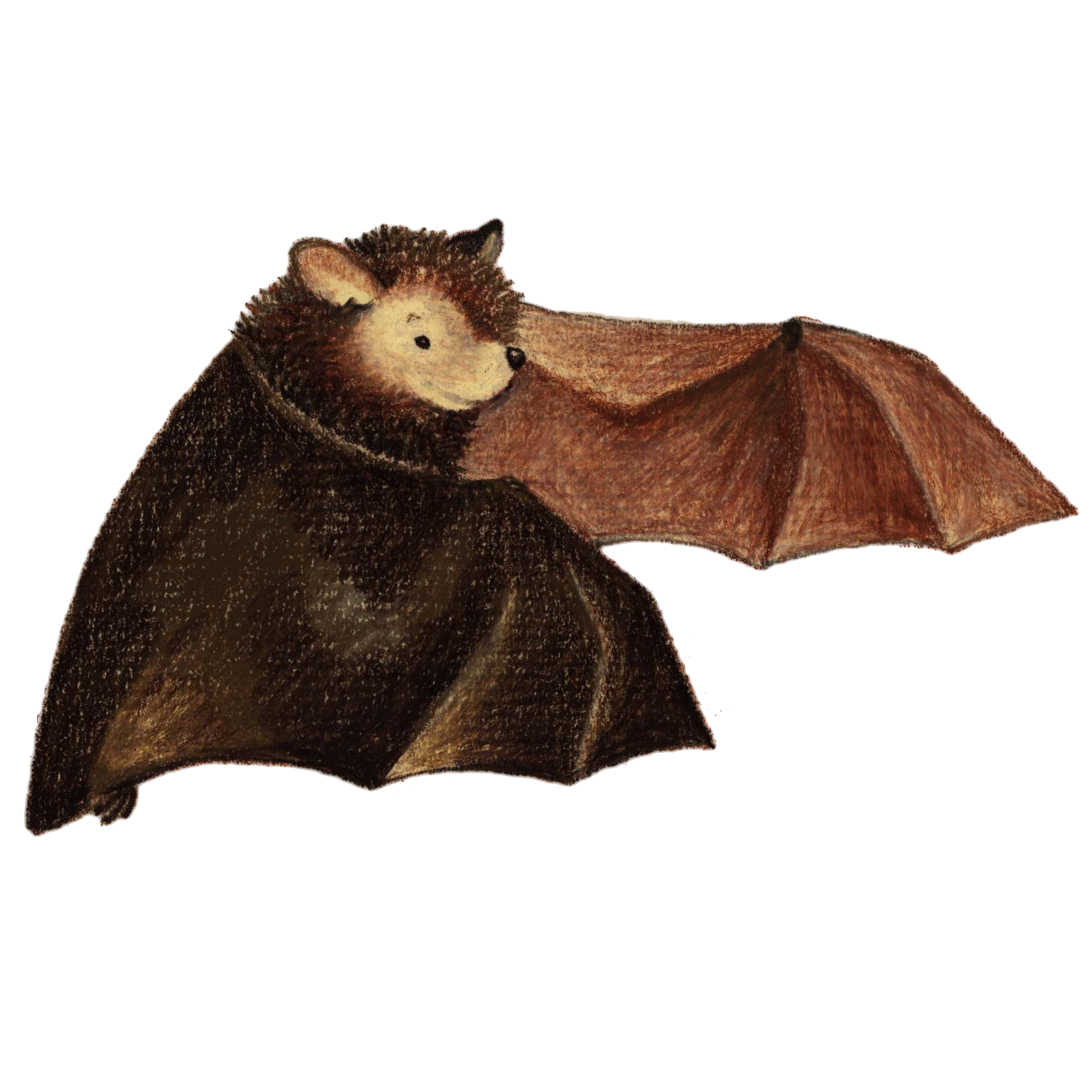 <strong>Age Level:</strong> 10+ <br><strong>Setting:</strong> Small group (2-4 players)<br><strong>Type: </strong>Book<br><strong>Topics:</strong> Land cover, natural disasters, ecosystems & biodiversity<br><strong>Estimated Time:</strong> 30 minutes