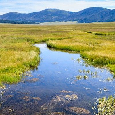 Upper Rio Grande evapotranspiration
