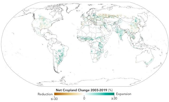Global crop extent