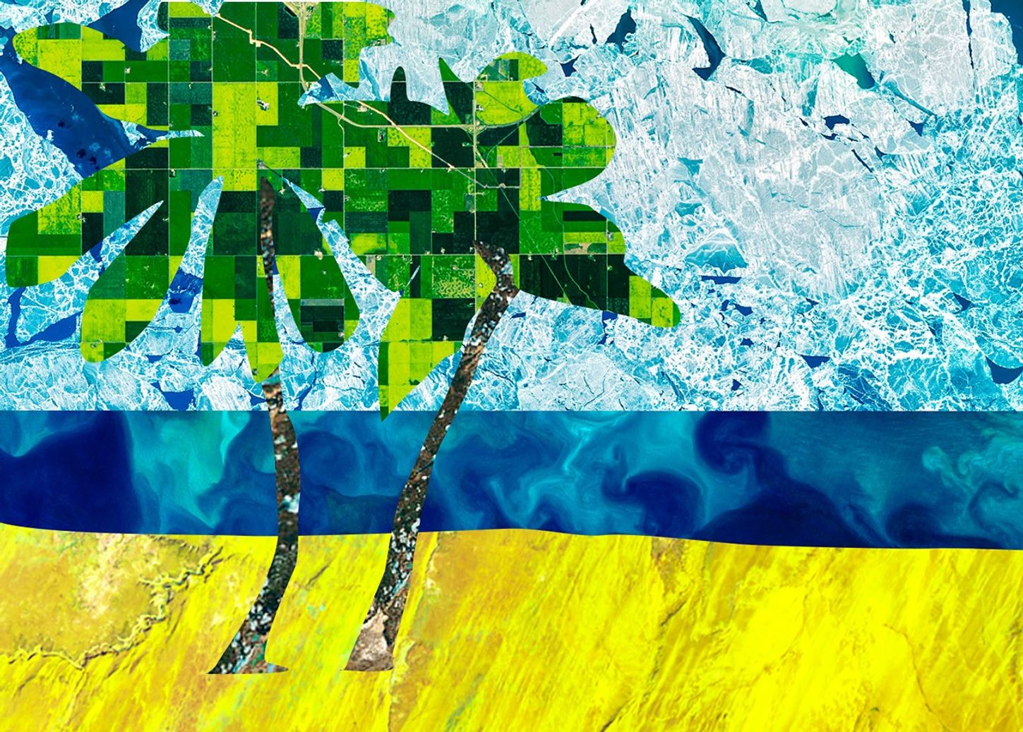 A collage of Landsat images in a beach scene. The sand is a yellow Landsat image, the palm trees are green images of canola fields, the ocean is algae blooms, and the sky is a light blue image of ice.
