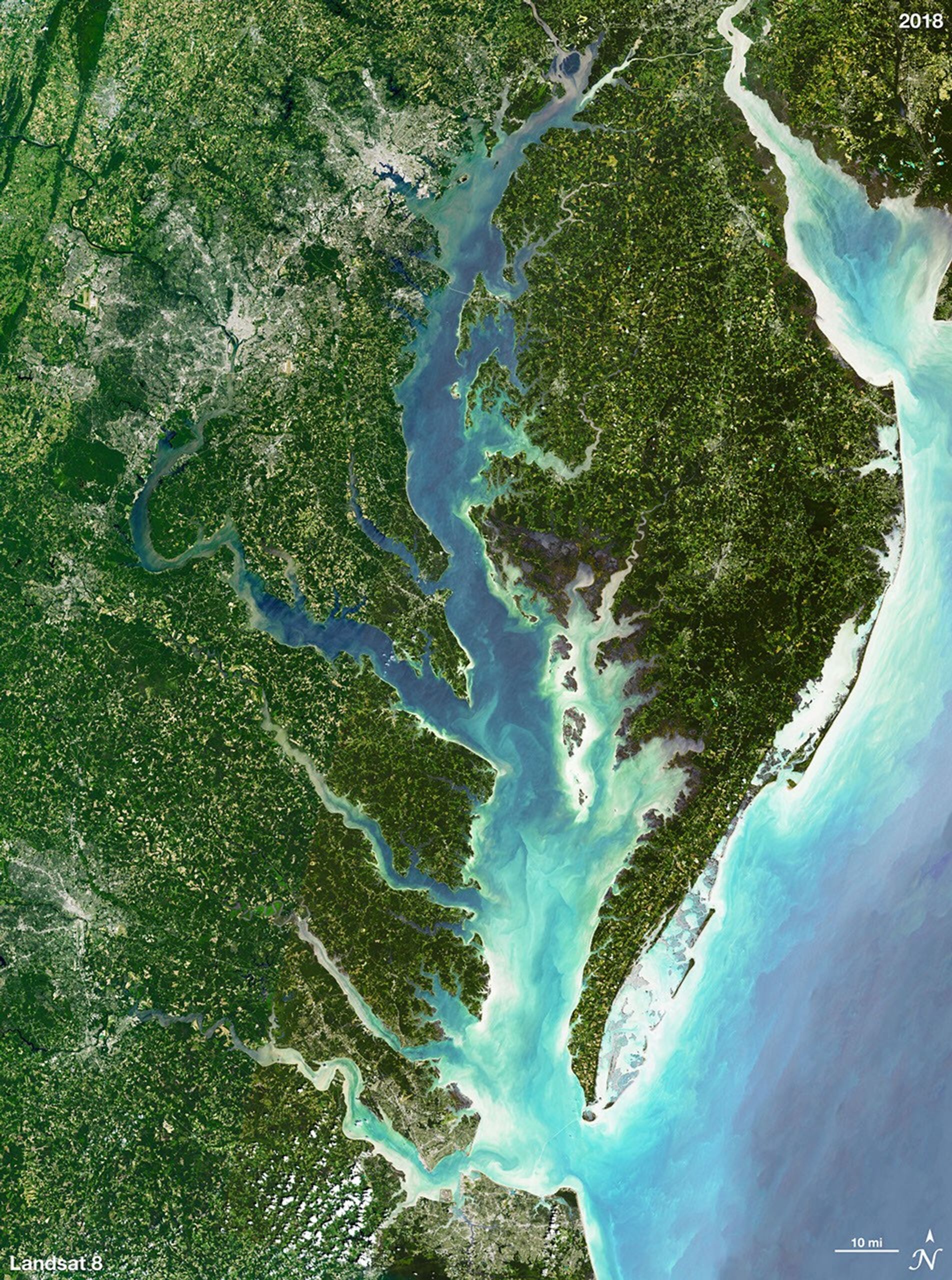 Chesapeake Bay Mat