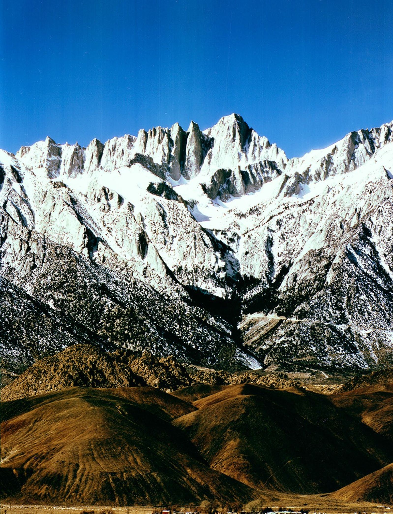Landsat 5 Thematic Mapper image of Mount Whitney in the Sierra Nevada, showing the dramatic granite peaks and ridges with snow-covered summits rising above desert foothills.