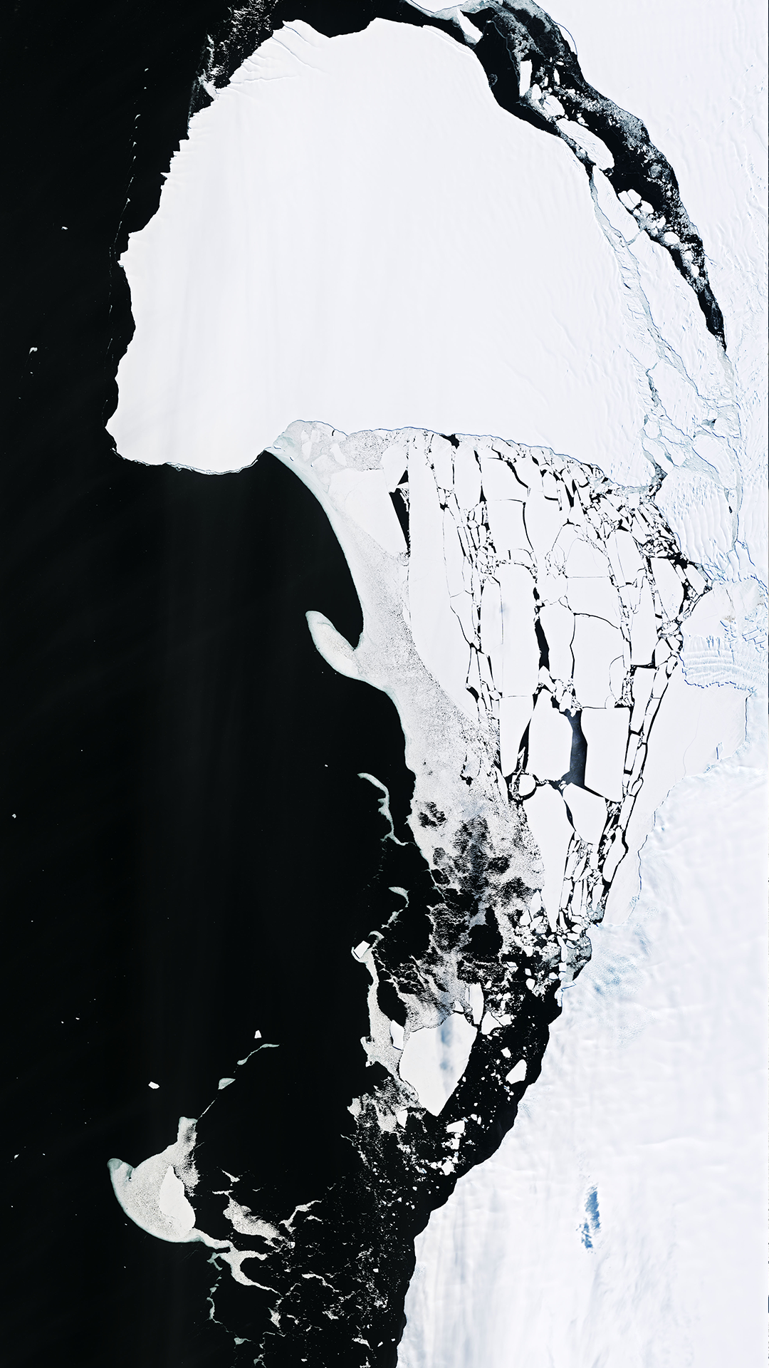 A natural-color Landsat satellite image of an Antartic Iceberg.
