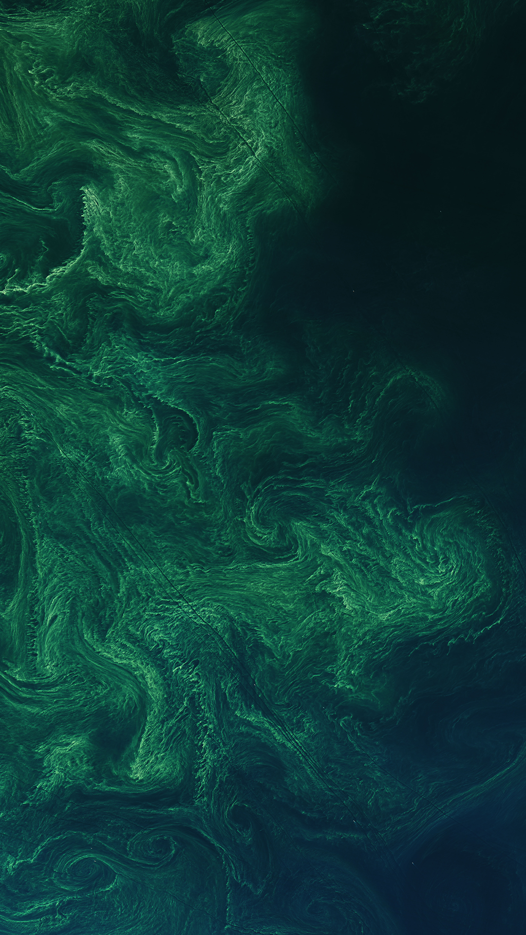 A Landsat satellite image of green phytoplankton swirling on a dark blue ocean backdrop