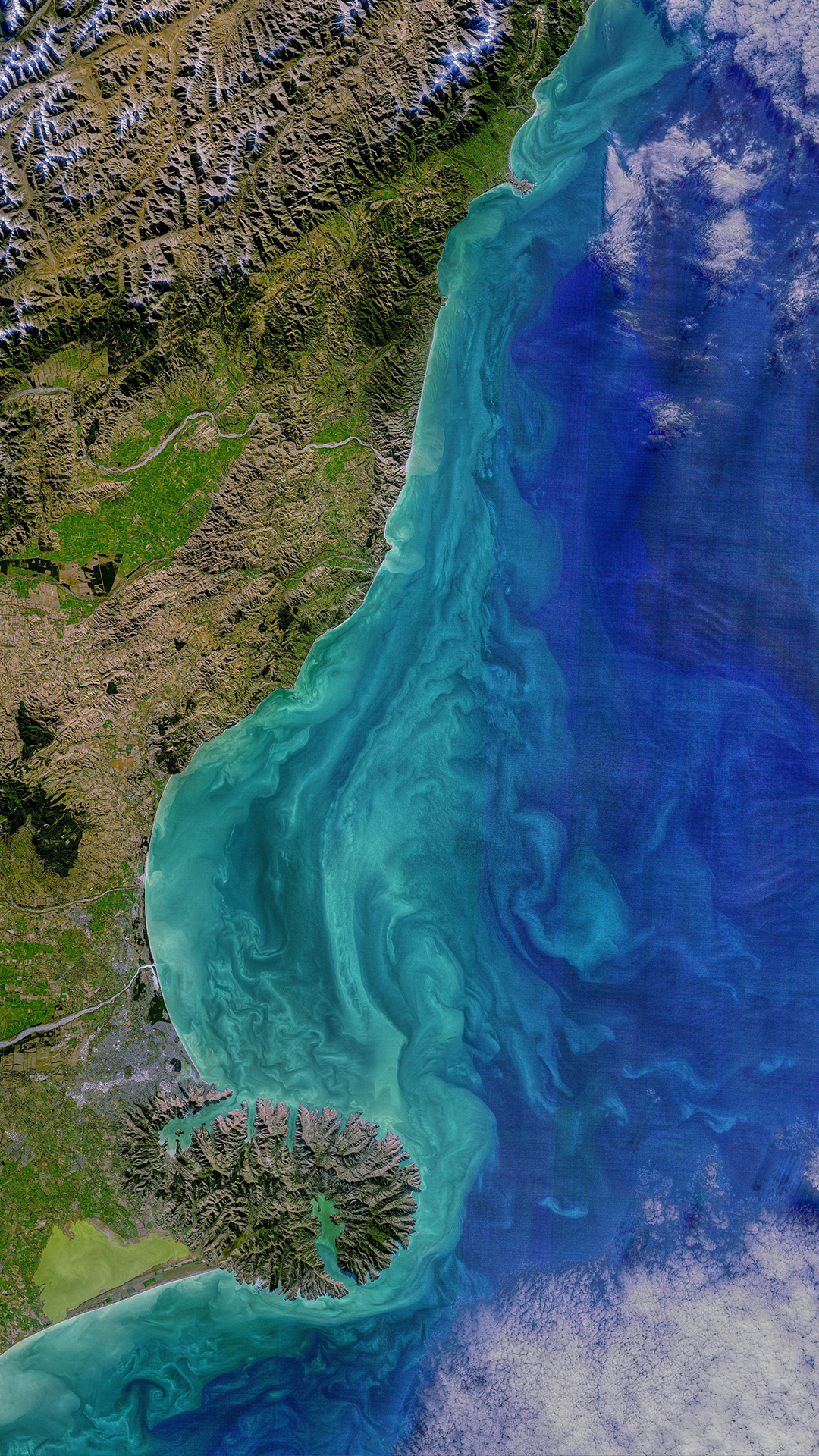 A Landsat satellite image of saturated light and dark blue ocean and reef contrasted with the green and brown coast of New Zealand
