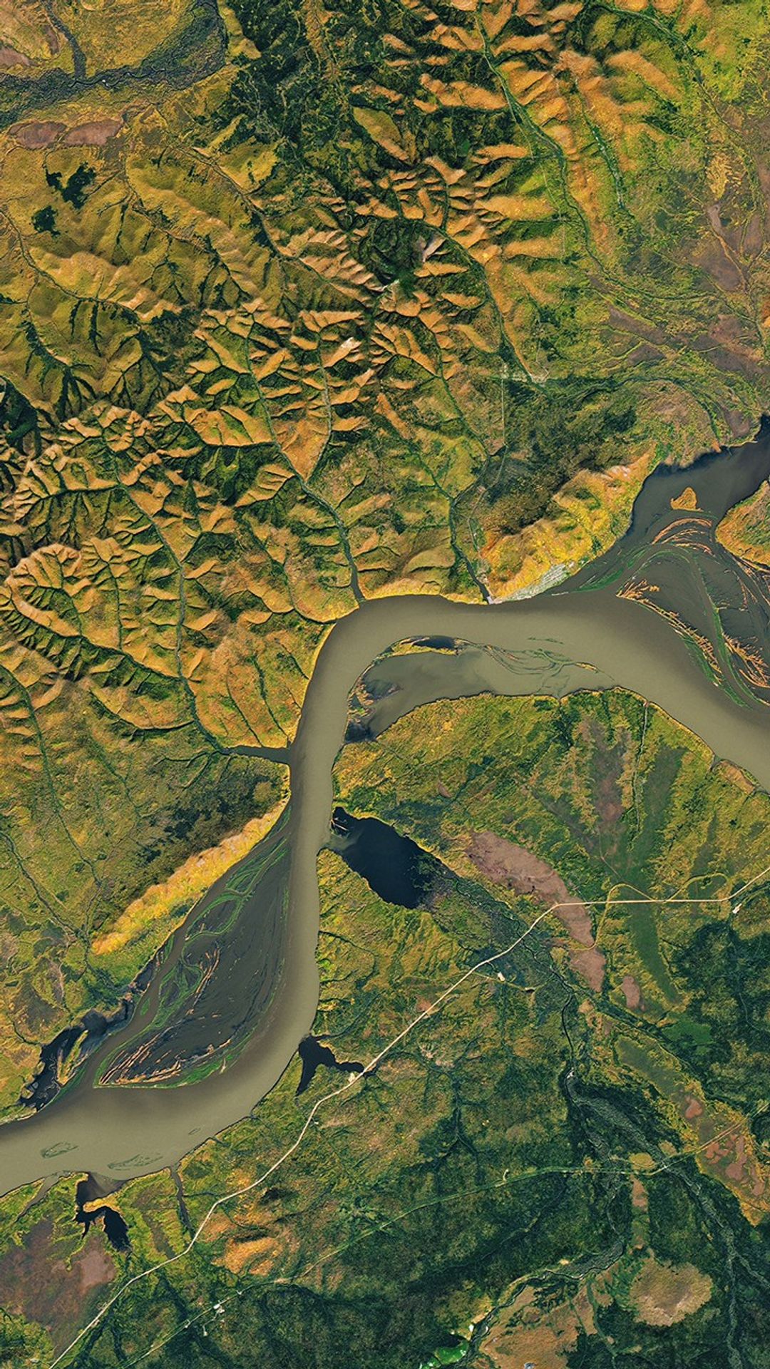 A natural-color Landsat satellite image of the Amur River.