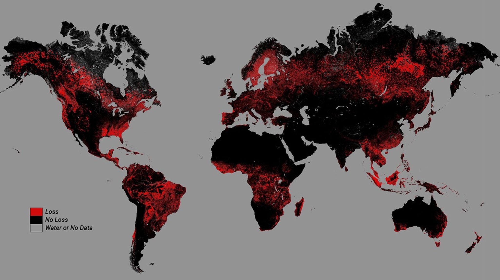 A depiction of gross forest cover loss between 2000 and 2022.