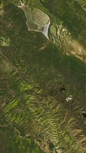 Natural-color Landsat 8 image of wildflowers blanketing green hillsides and stream valleys near the town of New Cuyuma, California acquired on March 18, 2019.