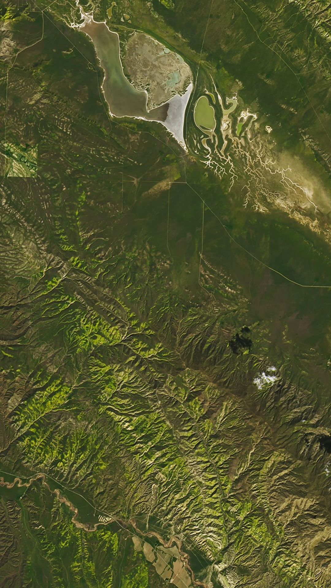 Natural-color Landsat 8 image of wildflowers blanketing green hillsides and stream valleys near the town of New Cuyuma, California acquired on March 18, 2019.