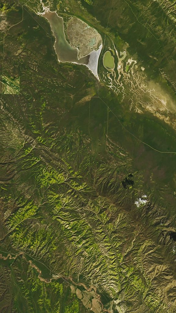 Natural-color Landsat 8 image of wildflowers blanketing green hillsides and stream valleys near the town of New Cuyuma, California acquired on March 18, 2019.
