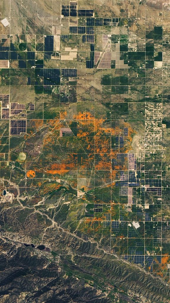 Natural-color Landsat 8 image of poppies in California acquired on April 14, 2020.