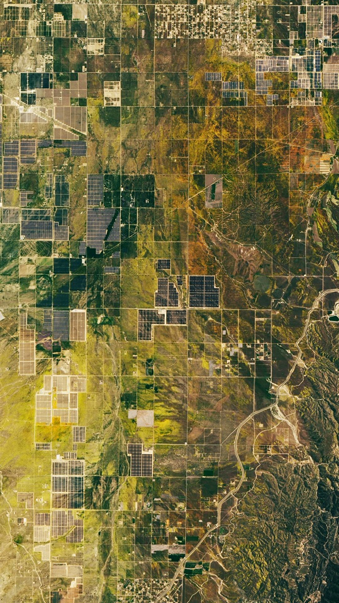 Landsat 9 natural-color image of poppies in California acquired on April 15, 2023. The yellow flowers are surrounded by panels from a solar farm.