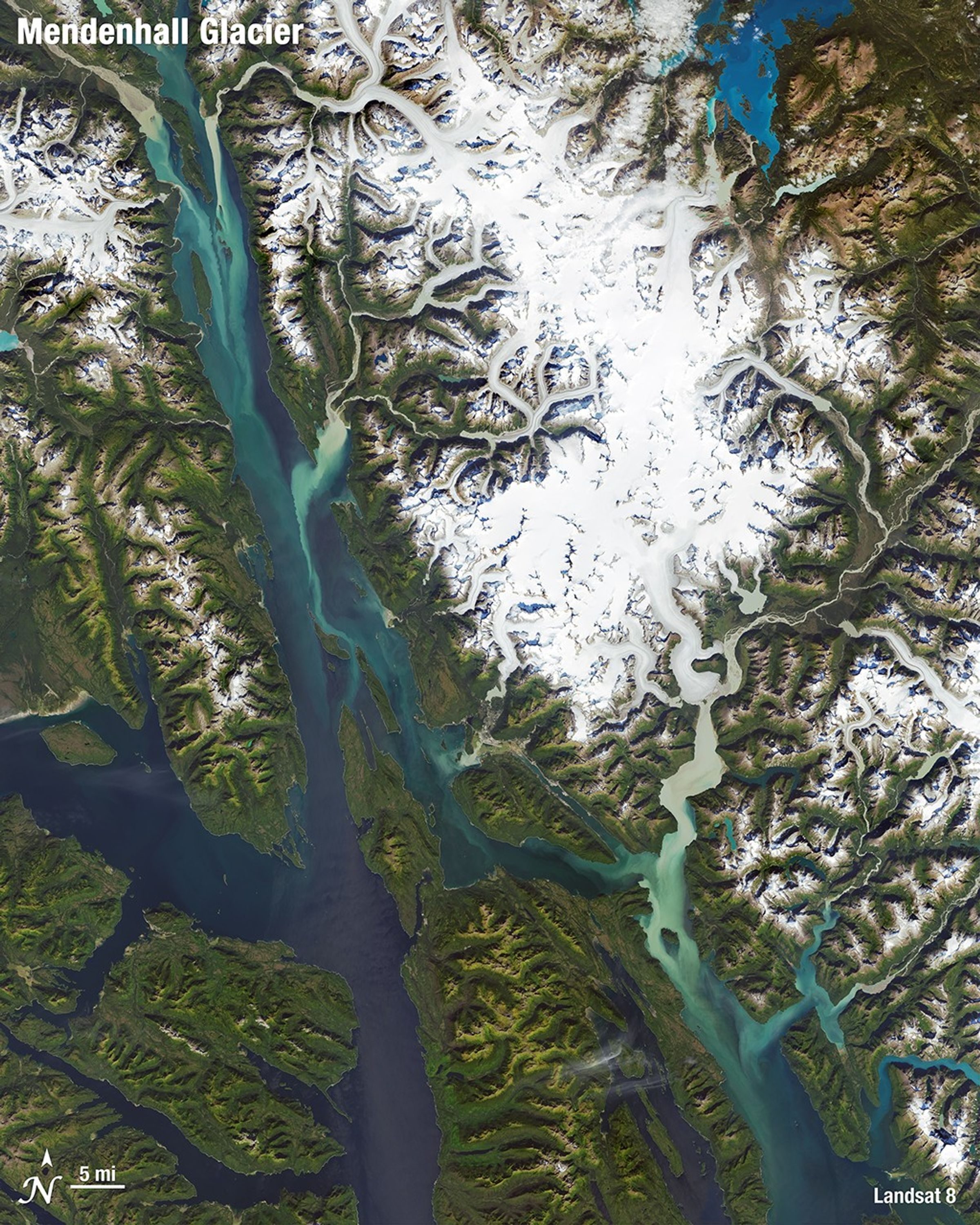A natural-color image of the Mendenhall Glacier in Alaska acquired by Landsat 8 in 2020.