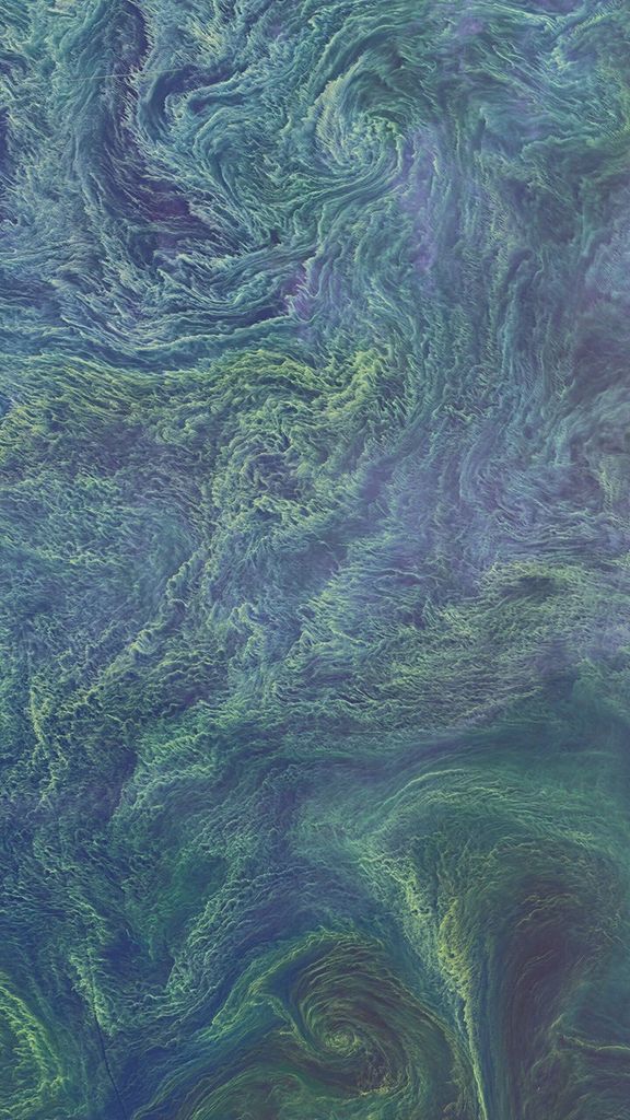 A natural-color Landsat satellite image of the Baltic Sea.