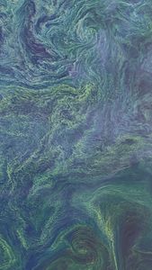 A natural-color Landsat satellite image of the Baltic Sea.