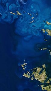 A natural-color Landsat satellite image of the Falkland Islands.