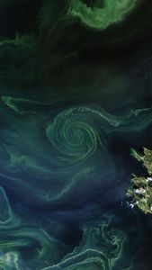 A natural-color Landsat satellite image of the Gulf of Finland.
