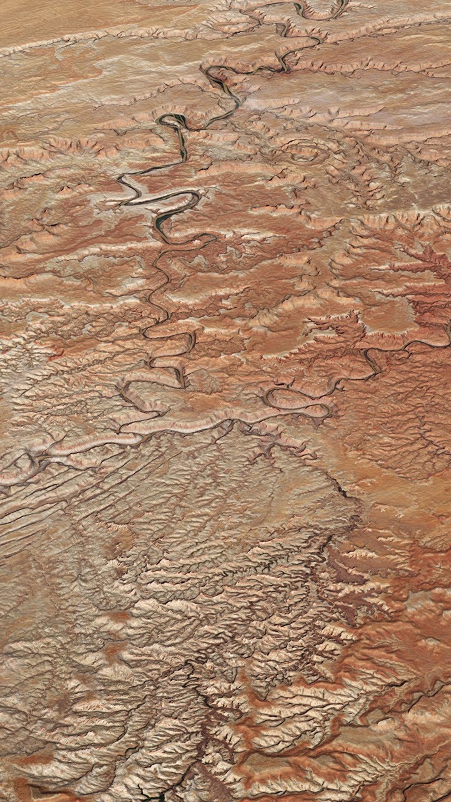 Natural-color Landsat 8 image of Canyonlands National Park in Utah acquired on July 5, 2016. The image was draped over an ASTER-derived global digital elevation model to show the rise and fall of this landscape.