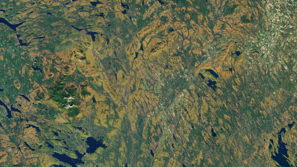 A natural-color Landsat 8 satellite image of Patten, Maine. This image was acquired on October 13, 2017.