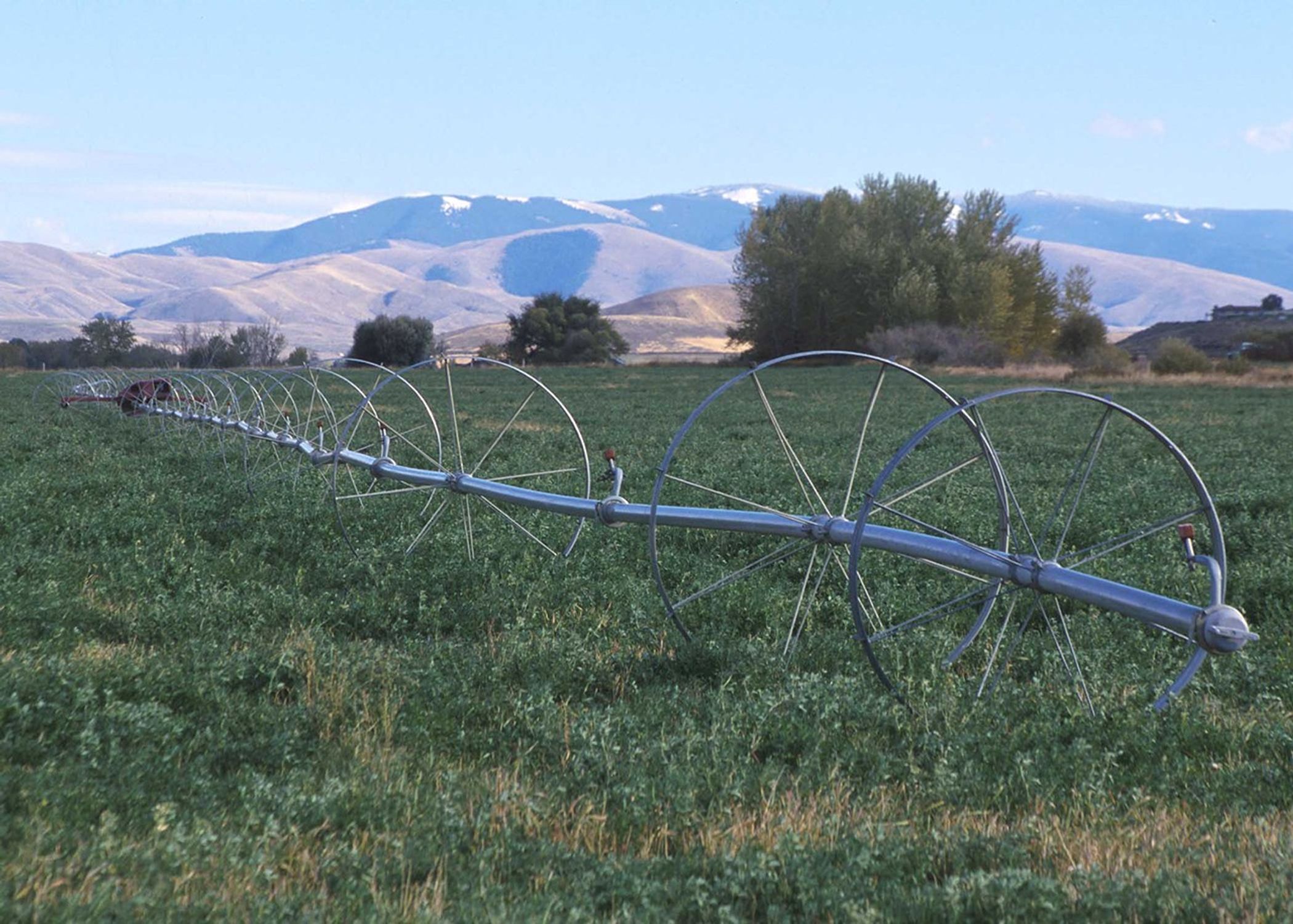 A wheel line irrigation system irrigates a field in Idaho. Dry mountains can be seen in the background.
