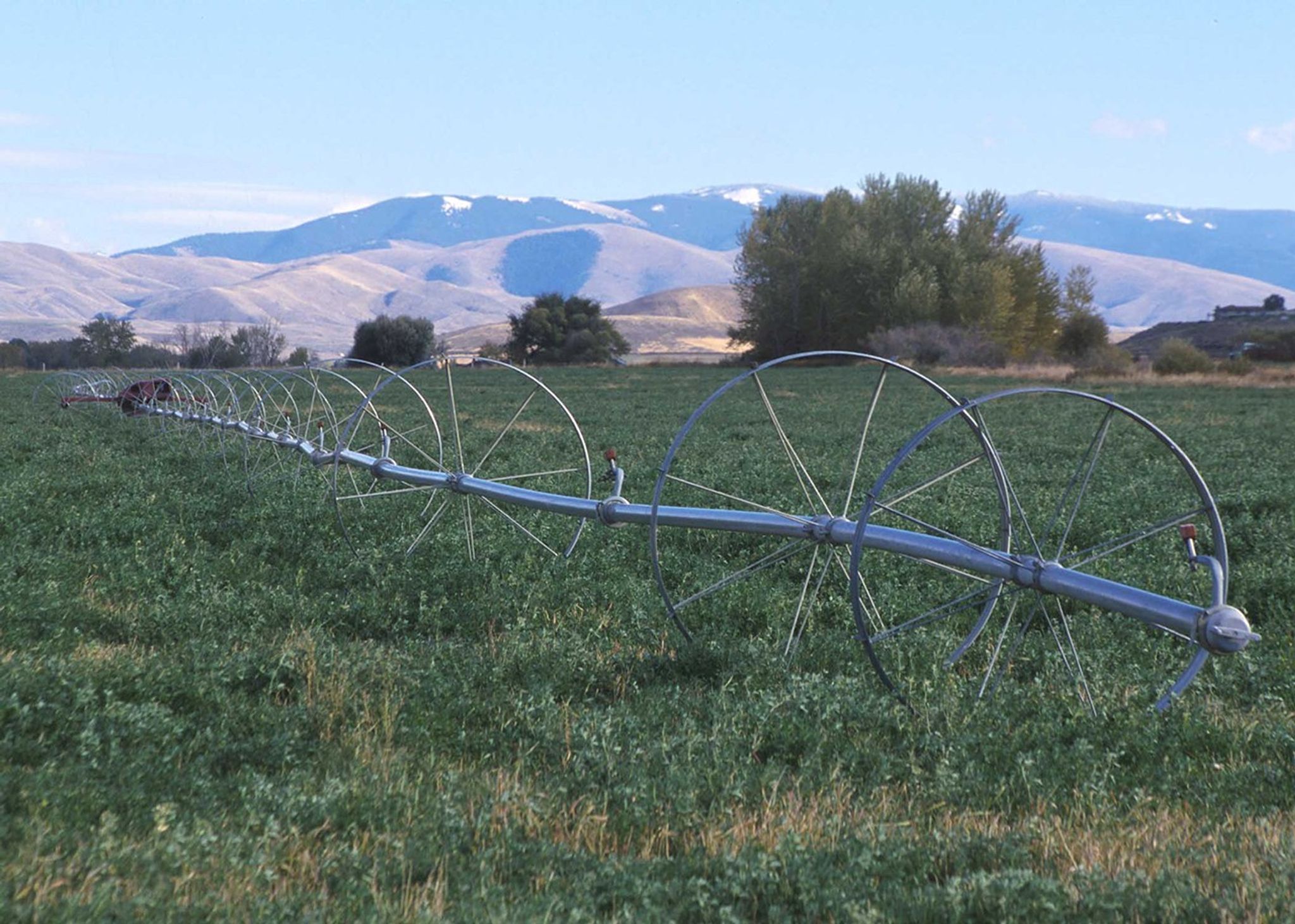 A wheel line irrigation system irrigates a field in Idaho. Dry mountains can be seen in the background.