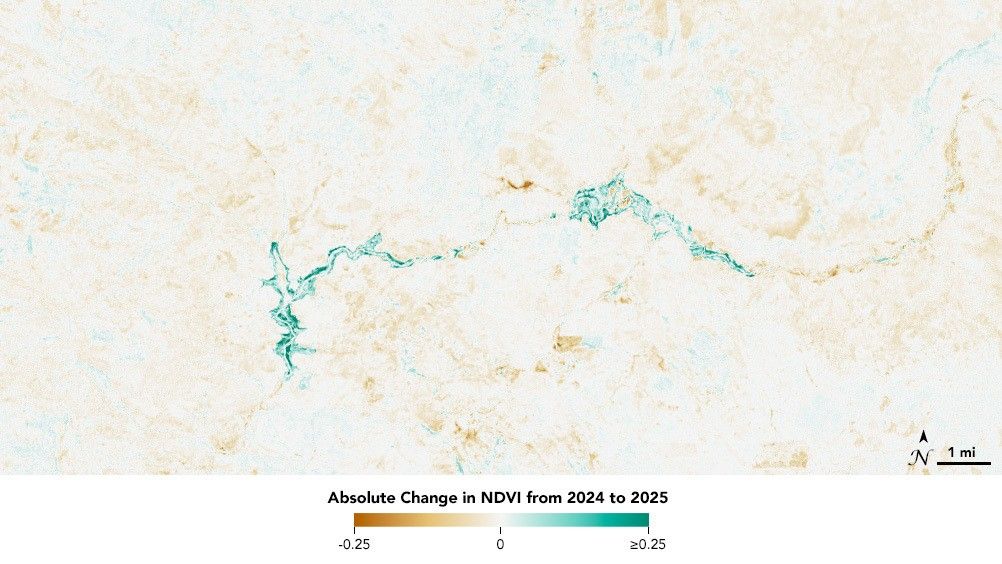Change in NDVI from 2024 to 2025 in the Klamath River.