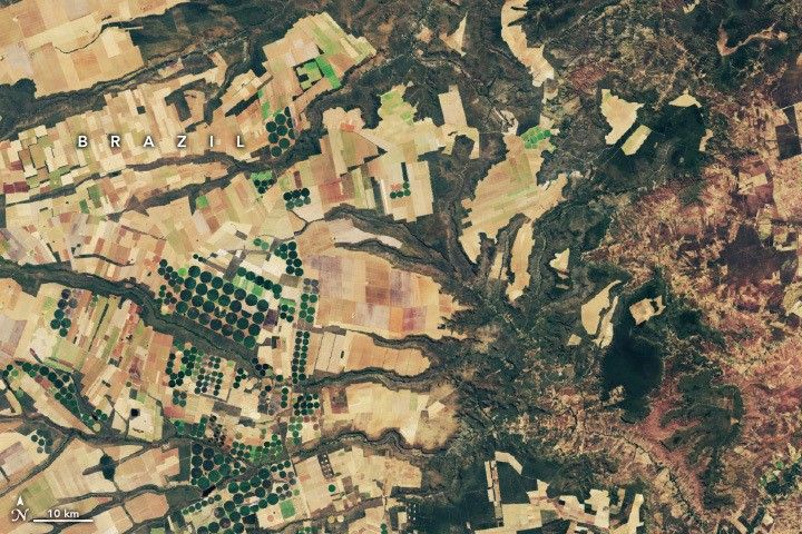 Spotting Disruptions to Earth's Vegetation - NASA Science