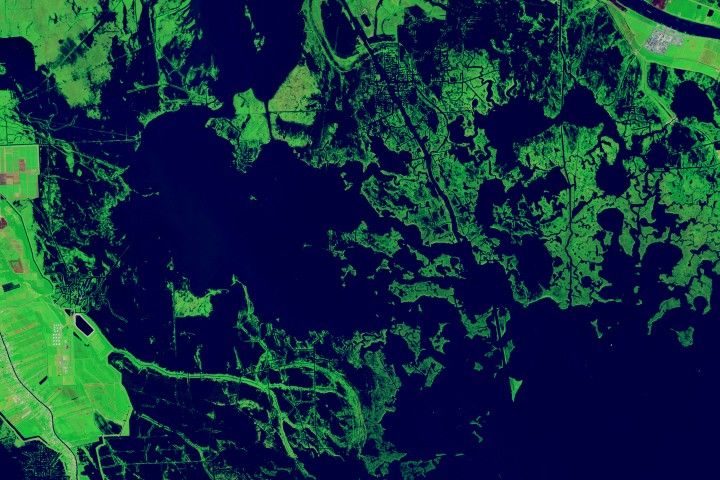 Forty Years of Change in Louisiana’s Wetlands Scientists used Landsat satellite images to detect both abrupt and gradual changes and to examine how phenomena, from storms to sea level rise, have reshaped coastal ecosystems.
