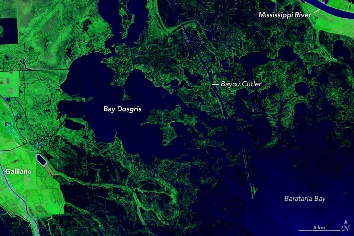 Landsat image of Louisiana's Bay Dosgris in August, 1985