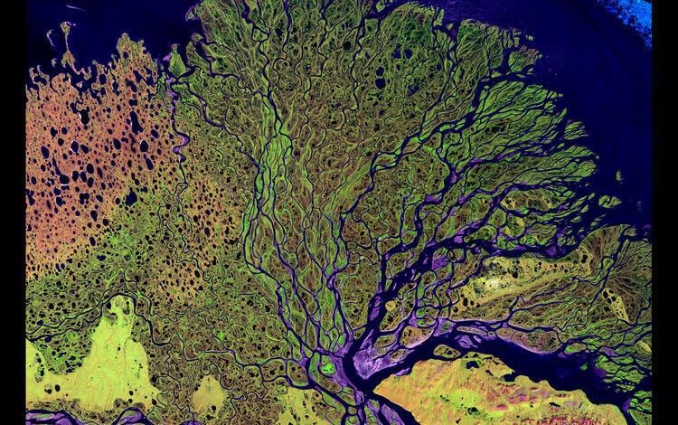 The Lena River, some 2,800 miles(4,500km) long, is one of the largest rivers in the world. The Lena Delta Reserve is the most extensive protected wilderness area in Russia. It is an important refuge and breeding grounds for many species of Siberian wildlife.