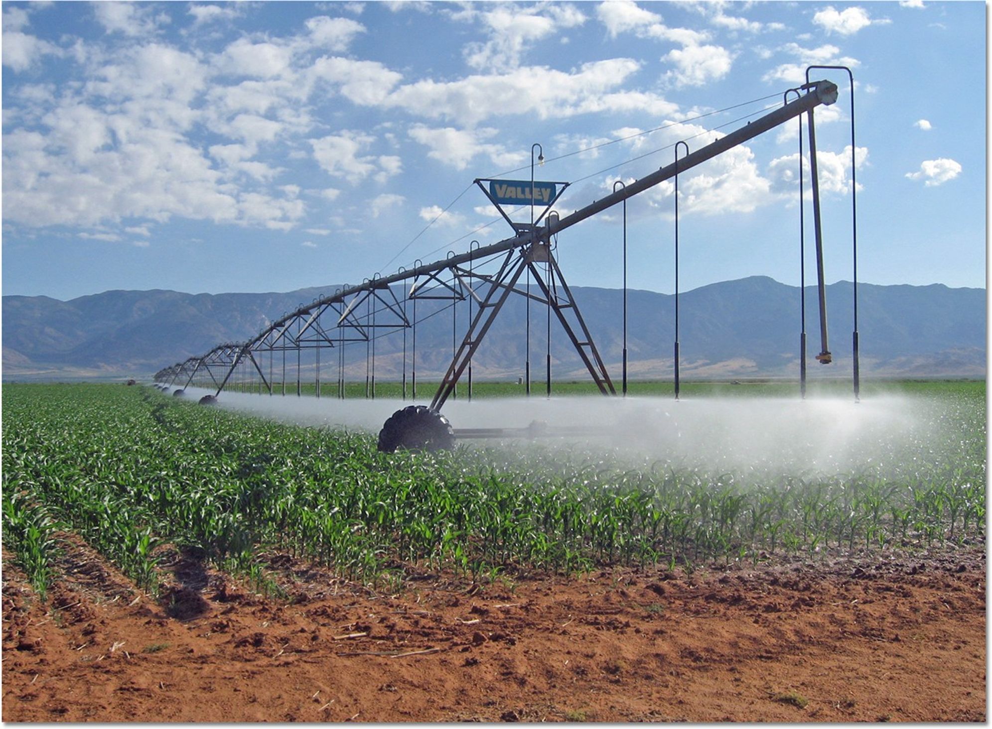 A typical, large-scale center-pivot spray irrigation system