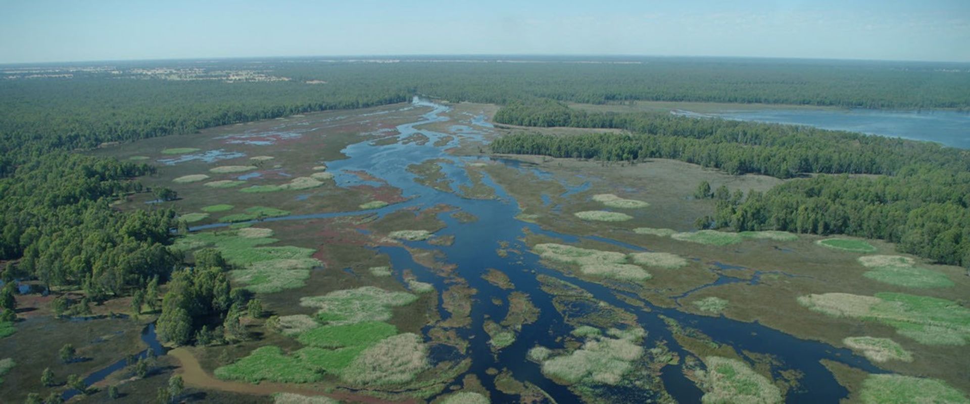 An aerial look at Barmah Lake in the Murray-Darling Basin.