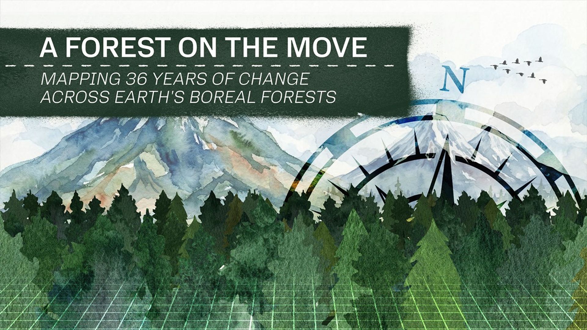 nasa.gov - Madeleine Gregory - Boreal Forests Are Shifting North - NASA Science