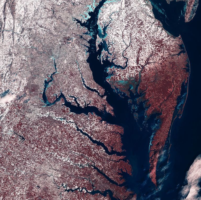 A false-color Landsat 8 and 9 mosaic of the partially frozen Chesapeake Bay region in February 2026.. In the image, healthy vegetation appears red, snow appears white, ice appears light blue, water appears dark blue, and bare earth appears tan.