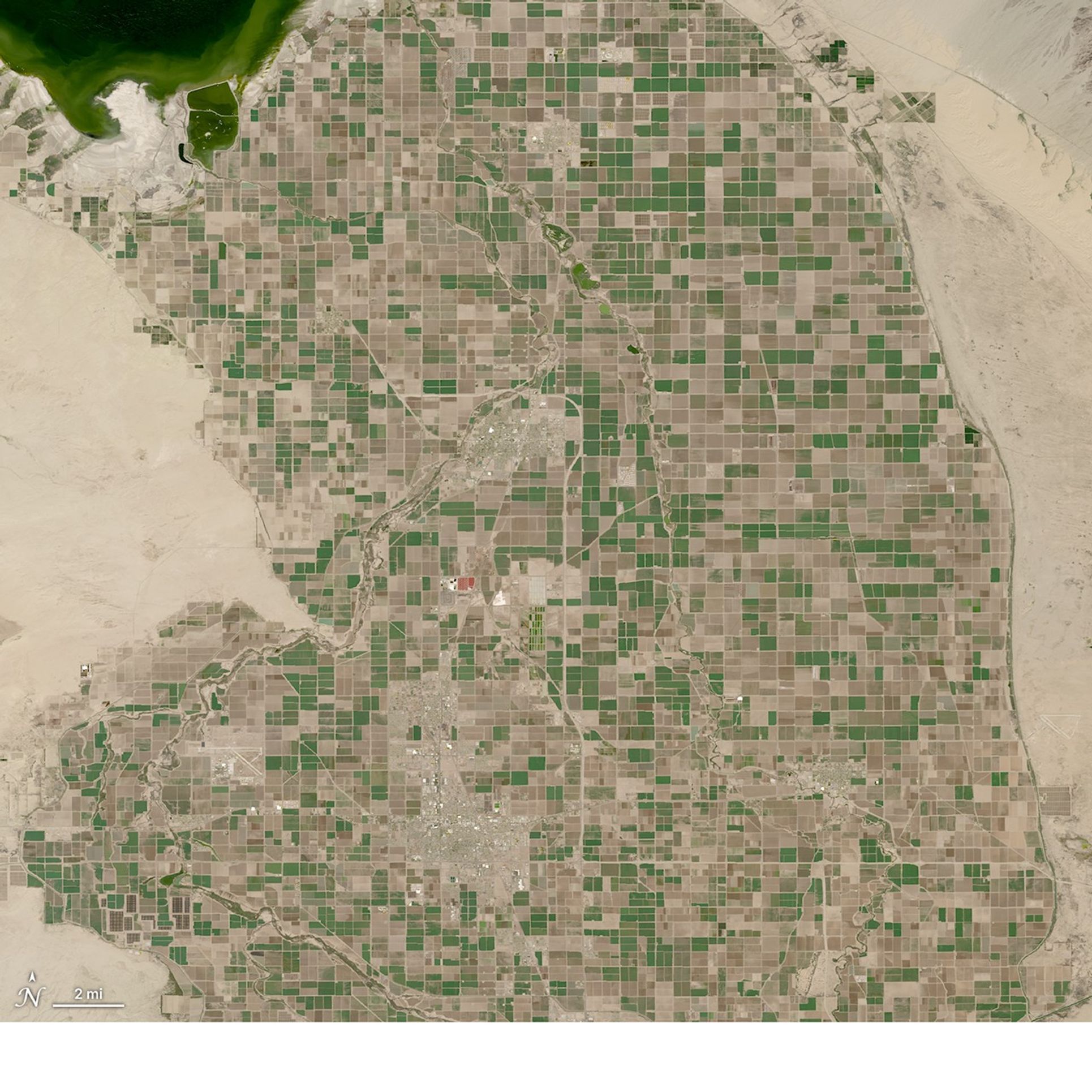 A natural-color HLS image of the Salton Sea in California. The water in the sea is green and is surrounded by tan bare earth. Crop fields below the sea appear as a green and tan patchwork.