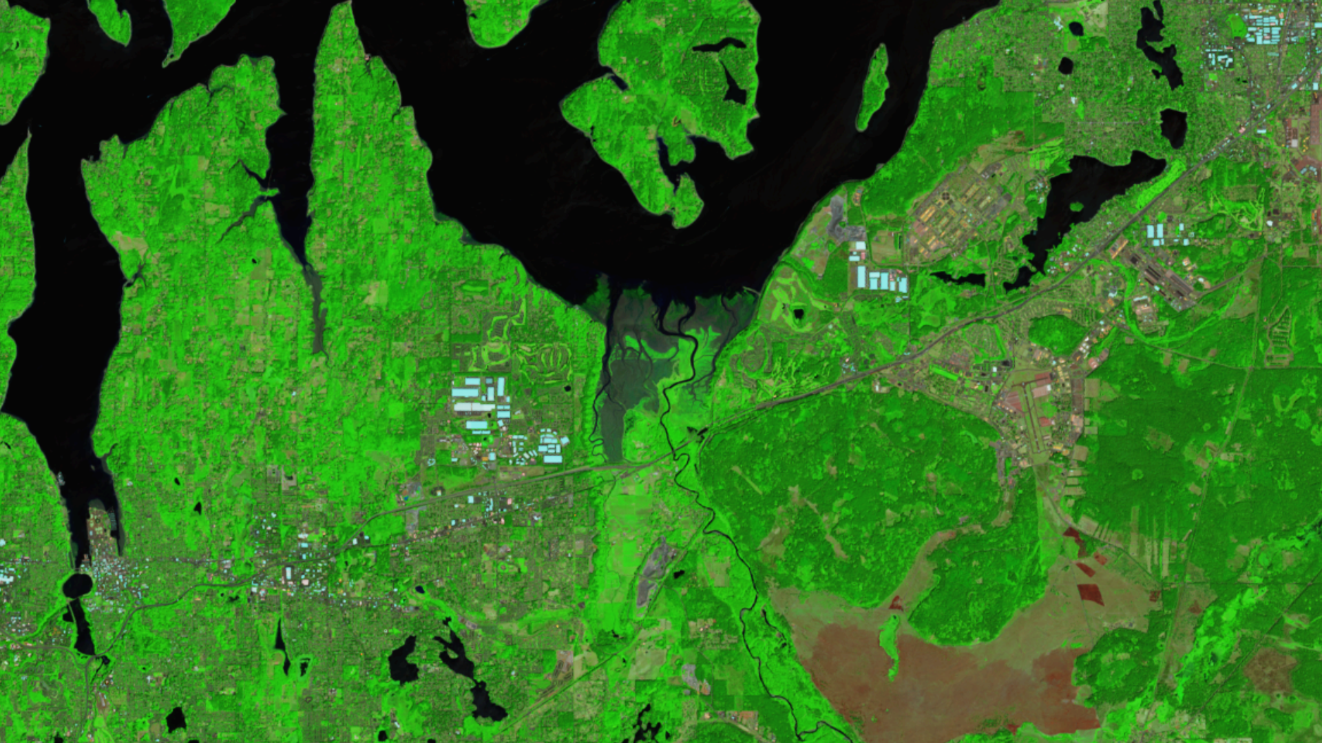 nasa.gov - Madeleine Gregory - Moving Marshes in the Puget Sound - NASA Science
