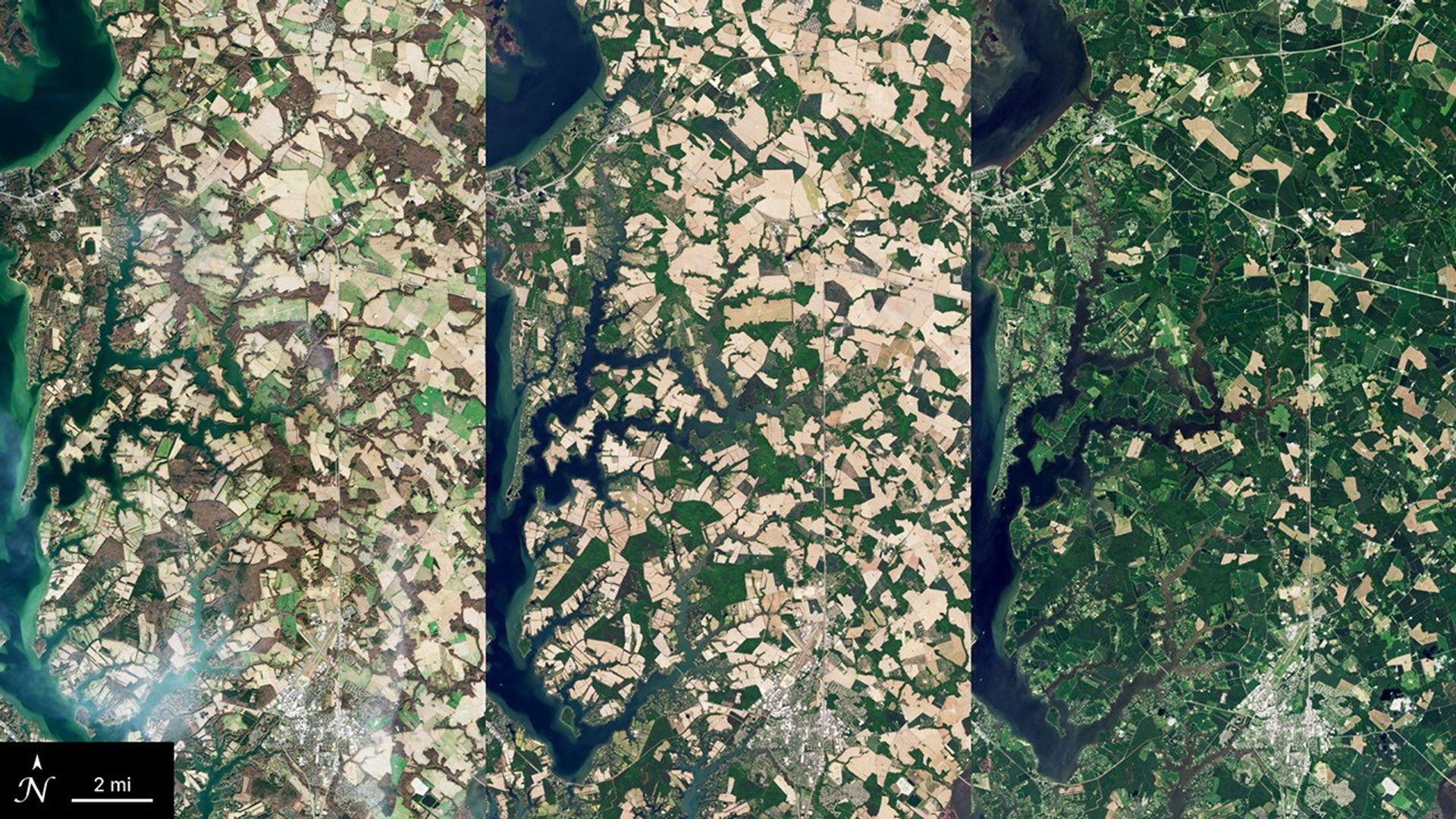 Graphic featuring three satellite images of cover crops in various seasons in Maryland. The left image has crop fields of various shades of light brown and tan, the middle image has tan and light green fields, and the image on the right is mostly fields of green with some fields of tan. A blue river cuts through the top left part of each image.