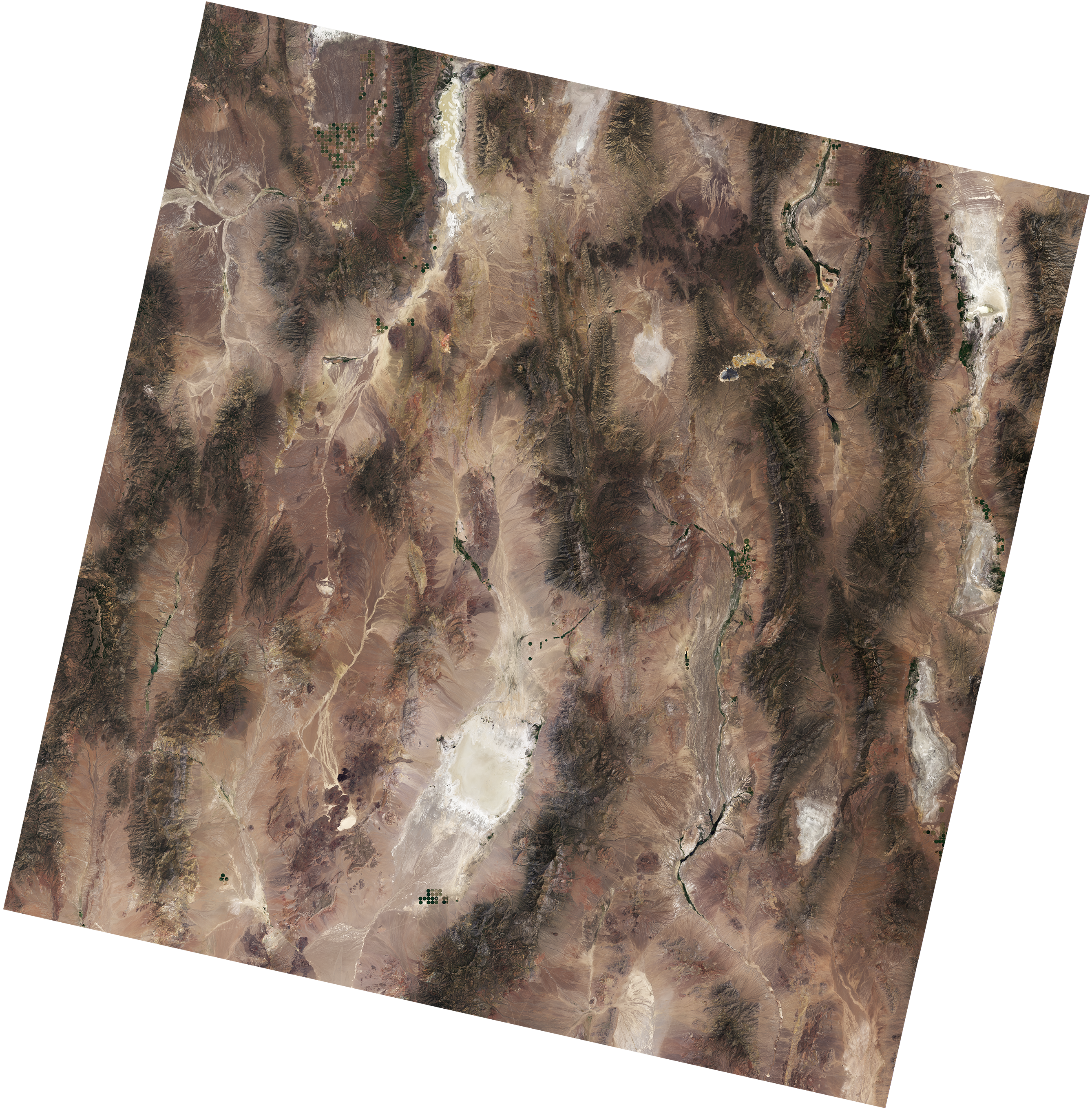 A Landsat image of Railroad Valley Playa calibration site. The sandy area of the site appears white and tan and the rest of the image is varying shades of brown, red, and dark green.